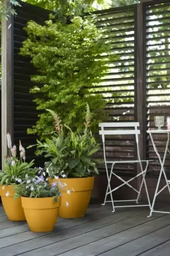 Elho Vibia Campana bloempot rond 35 cm honinggeel