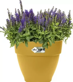 Elho Vibia Campana bloempot rond 20 cm honinggeel