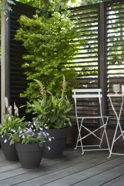 Elho Vibia Campana bloempot rond 20 cm antraciet