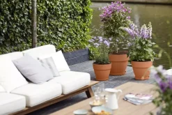 Elho Vibia Campana bloempot rond 25 cm terra