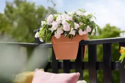 Elho Vibia Campana flower bridge 40cm terra