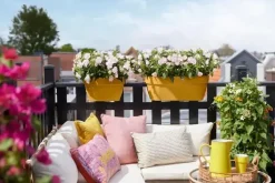 Elho Vibia Campana flower bridge 60 cm honinggeel