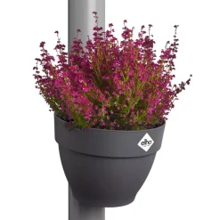 Elho Vibia Campana regenpijpbakje 22cm antraciet