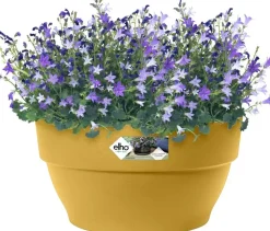 Elho Vibia Campana schaal rond 34 cm honinggeel
