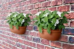 Elho Vibia Campana wall basket 35cm terra
