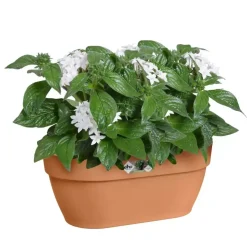 Elho Vibia Campana wall basket 35cm terra