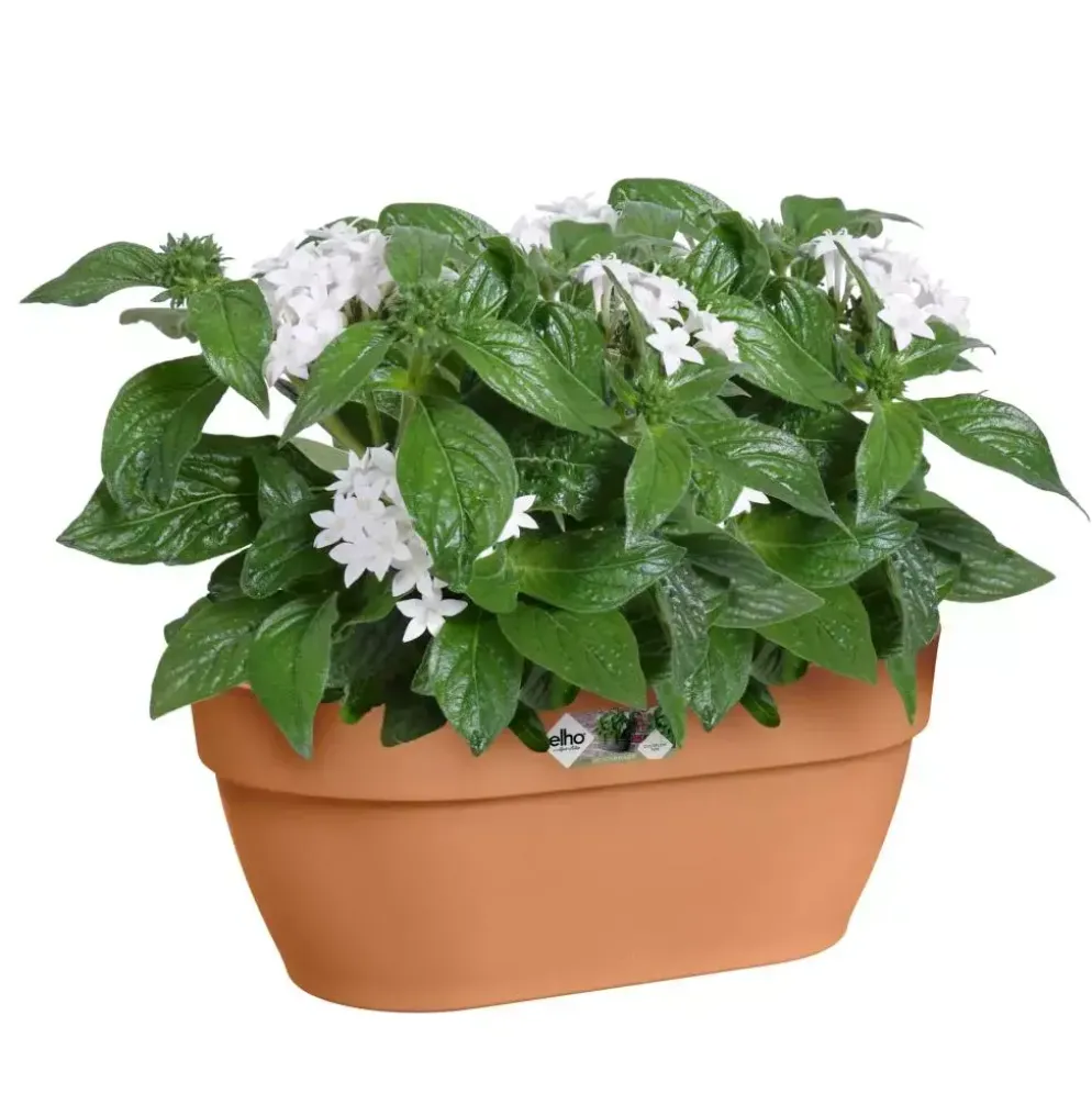 Elho Vibia Campana wall basket 35cm terra