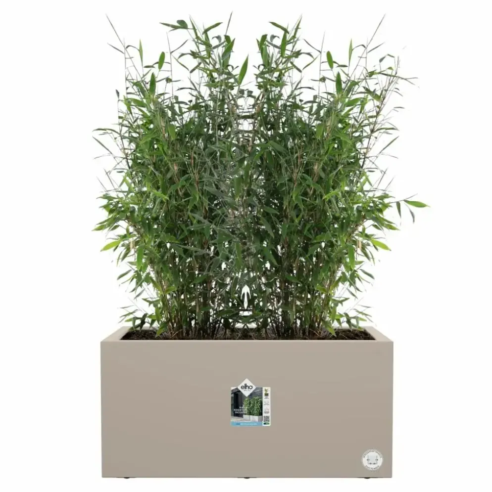 Elho vivo next plantenbak met wielen 60cm paddenstoel beige