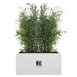 Elho Vivo Next plantenbak met wielen 80cm wit