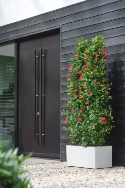 Elho Vivo Next plantenbak met wielen 80cm wit