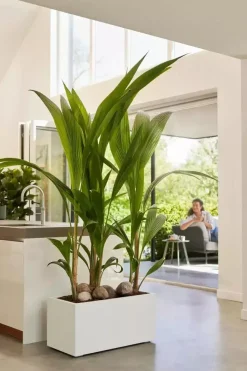 Elho Vivo Next plantenbak met wielen 80cm wit