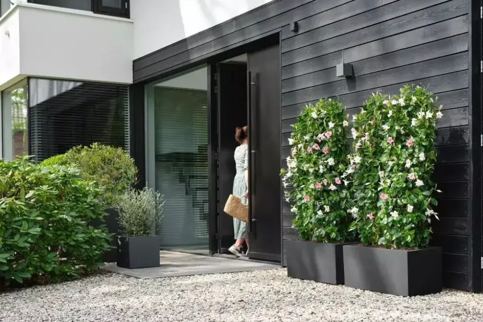 Elho vivo next plantenbak met wielen 60cm living black