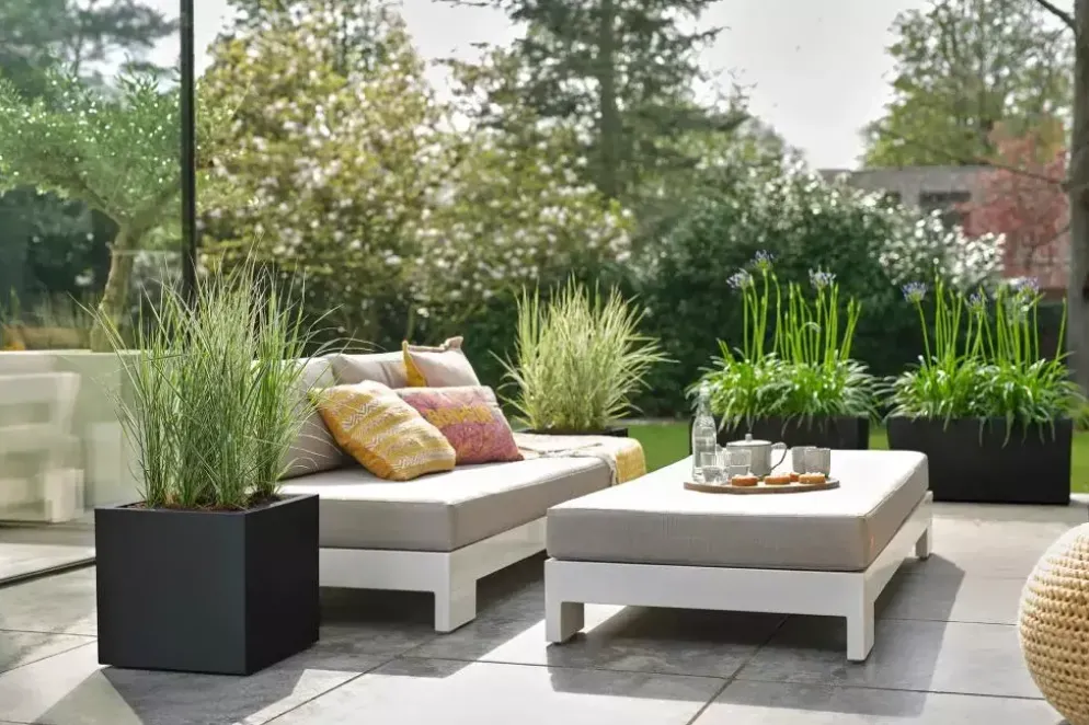 Elho vivo next plantenbak met wielen 60cm living black