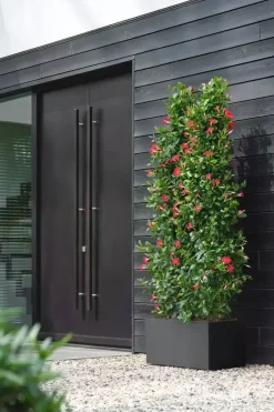 Elho vivo next plantenbak met wielen 60cm living black