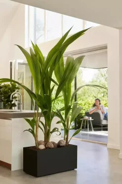 Elho vivo next plantenbak met wielen 60cm living black