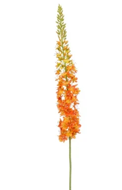 Emerald kunsttak eremurus 130cm oranje