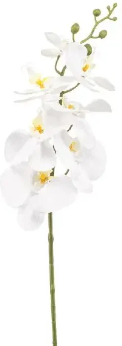 Emerald kunsttak phalaenopsis 84cm wit