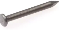 Eurofix Draadnagel bb staal 3x50 mm 60 gram
