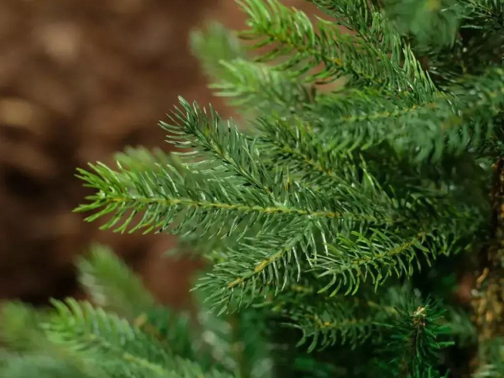 Everlands Grandis fir kunstkerstboom groen 210cm