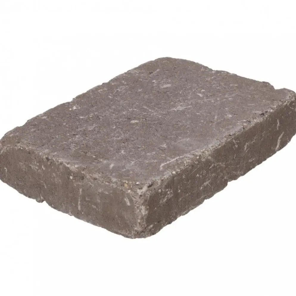 Excluton Abbeystones 20x30x6 cm Certosa