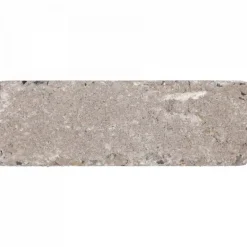 Excluton Abbeystones 15x5x7 cm Certosa