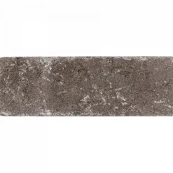 Excluton Abbeystones 15x5x7 cm Certosa