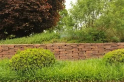 Excluton Stonewalling verona