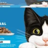 FELIX Original Vis Selectie in Gelei kattenvoer 44x85g