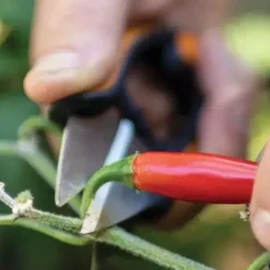 Fiskars Solid Snip kruidenschaar SP220