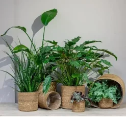 Floran Mand zeegras cilinder 18x17cm