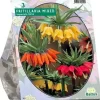 Fritillaria imperialis mix 3 stuks