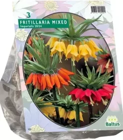 Fritillaria imperialis mix 3 stuks