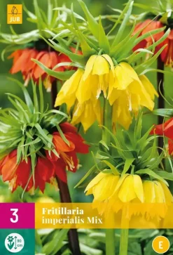 Fritillaria imperialis mix 3 stuks