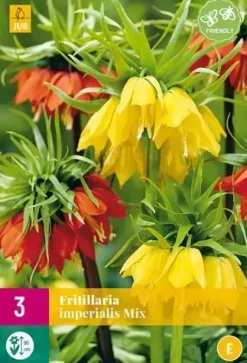 Fritillaria imperialis mix 3 stuks