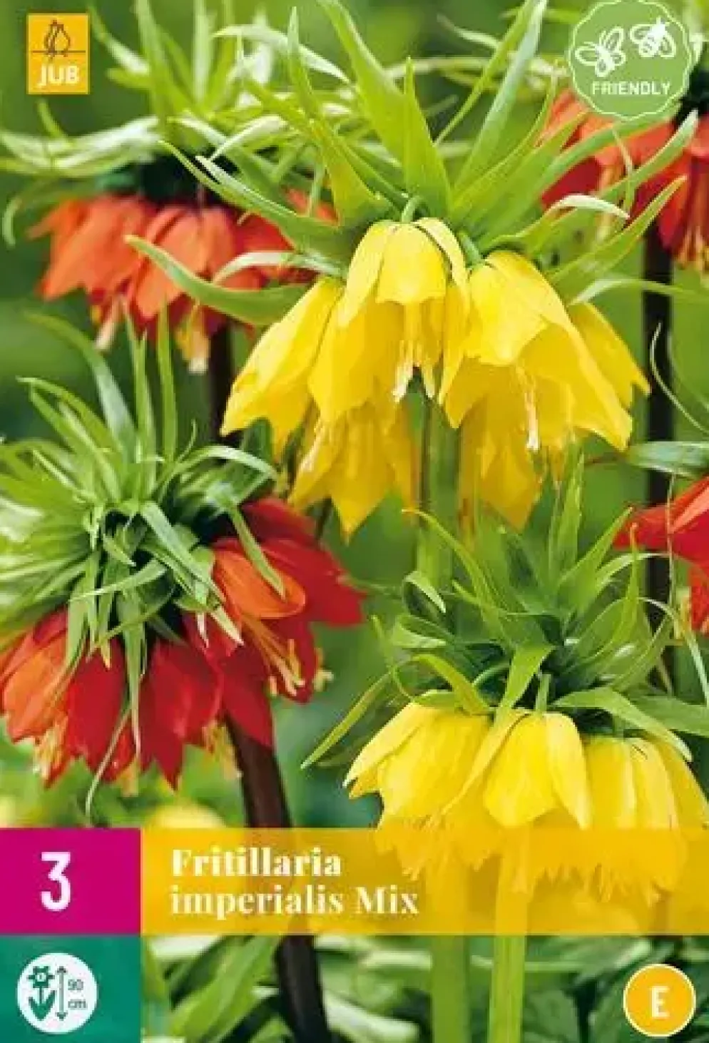 Fritillaria imperialis mix 3 stuks