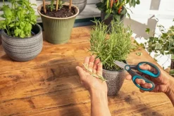 Gardena HerbCut