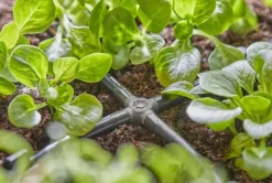 Gardena Micro Drip Systeem Kruisstuk 4,6 mm (3/16