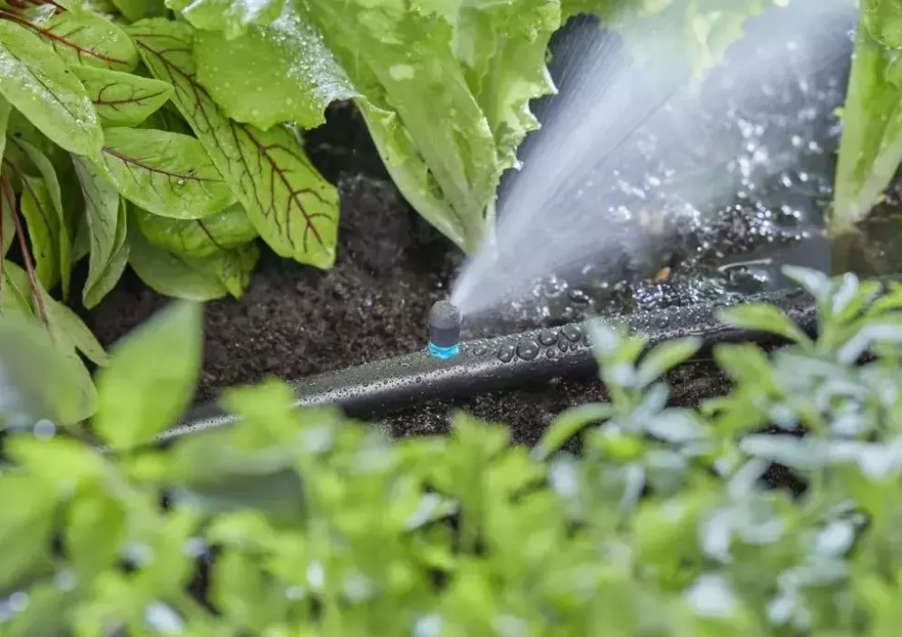Gardena Micro Drip Systeem Micro Strook Sprinkler Uiteinde