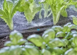Gardena Micro Drip Systeem Sproeier 180°