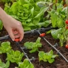 Gardena Micro Drip Systeem T-stuk 1/2” – 3/16"