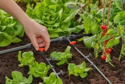 Gardena Micro Drip Systeem T-stuk 1/2” – 3/16"