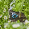 Gardena Micro Drip Systeem Verstelbare Seriedruppelaar 1-8 l/u, drukcompenserend