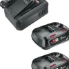 GARDENA Startset Snellader & Accu P4A AL18V-44+2x2.5Ah