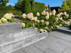 Gardenlux Fiora Block Grijs 50x20x20 cm
