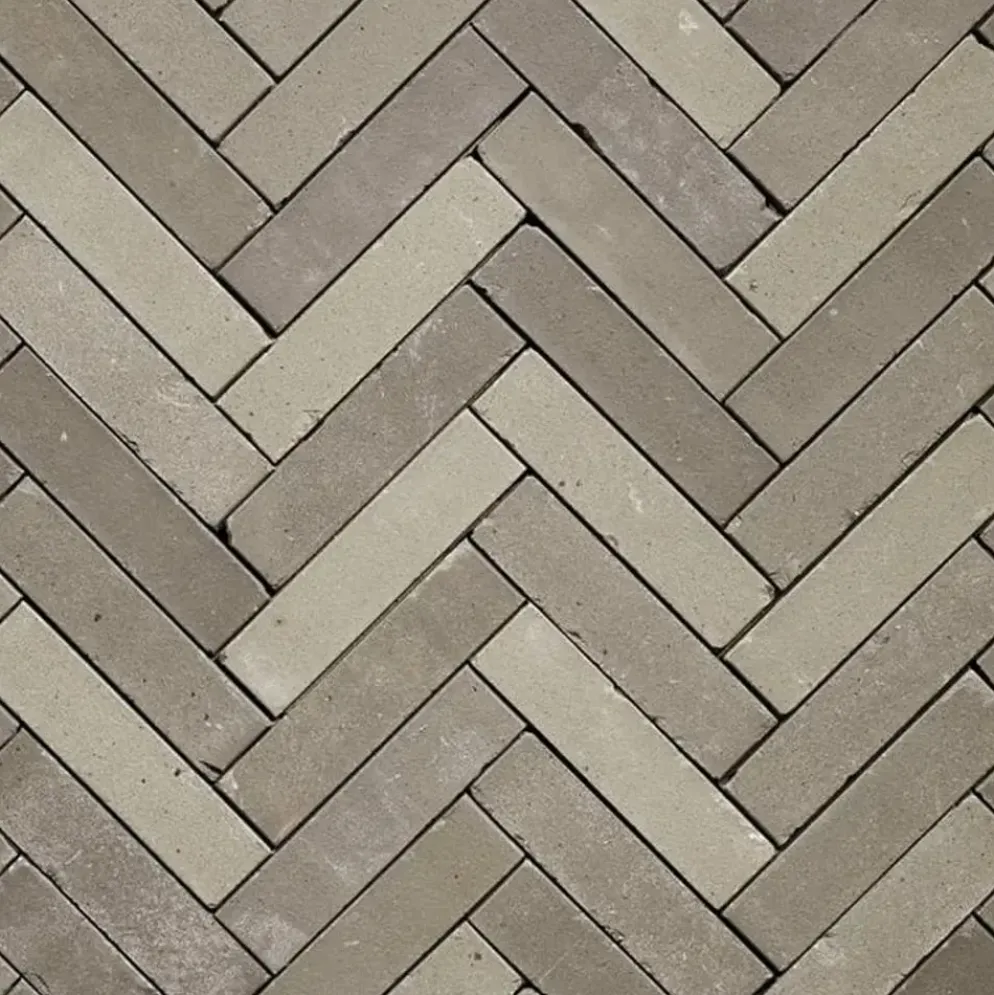 Gardenlux Gebakken Dikformaat Hollandse Streken Getrommeld Twents 6,5x20x6 cm