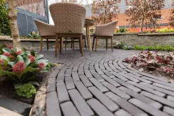 Gardenlux Gebakken Waalformaat Hollandse Streken Getrommeld Betuwe 5x20x6 cm