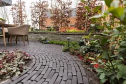 Gardenlux Gebakken Waalformaat Hollandse Streken Getrommeld Betuwe 5x20x6 cm