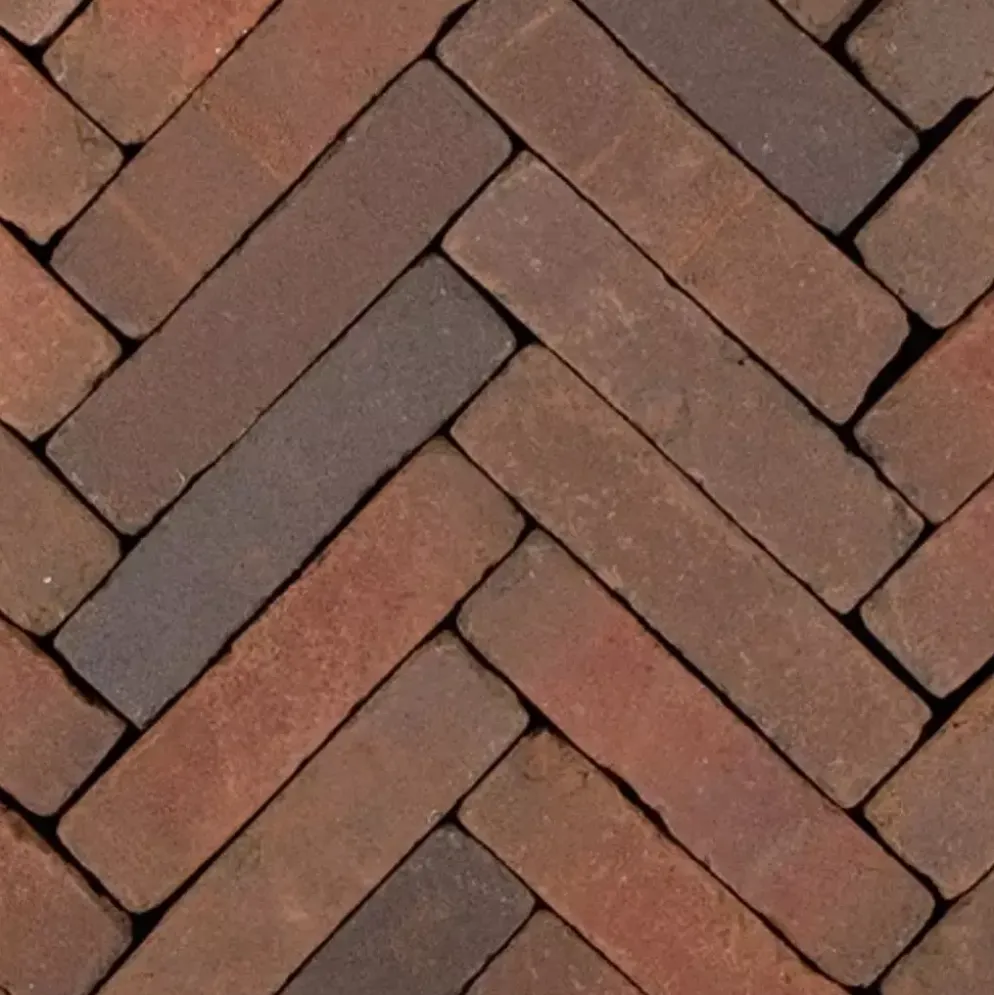 Gardenlux Gebakken Waalformaat Art Bricks Getrommeld Bosch 5x20x6 cm