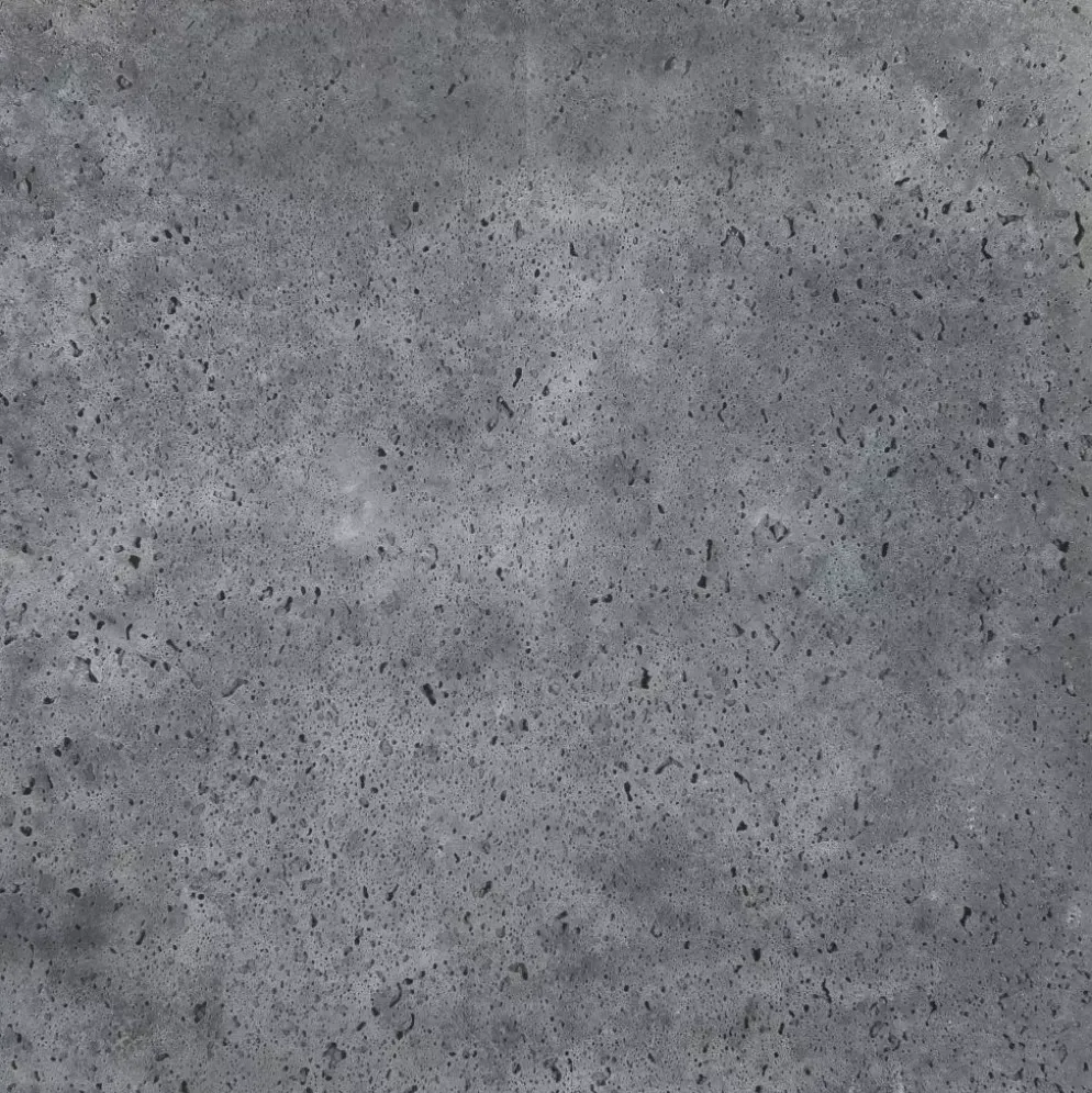 Gardenlux Oud Hollandse Tegels Antraciet 20x20x5 cm