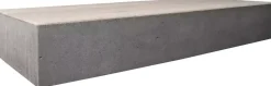 Gardenlux Traptrede Massief Grijs 100x40x18 cm